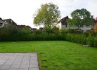 Ferienhaus Friesentraum