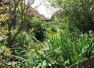 Ferienhaus am Teich