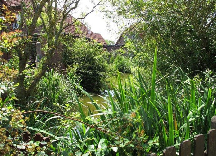 Ferienhaus am Teich
