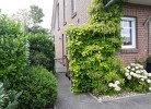 Ferienhaus Sattler